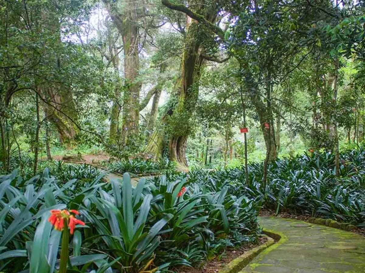 Hakgala Botanical Garden