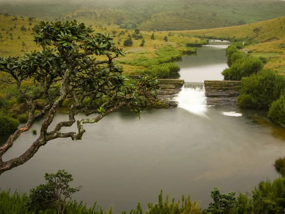 Horton Plains