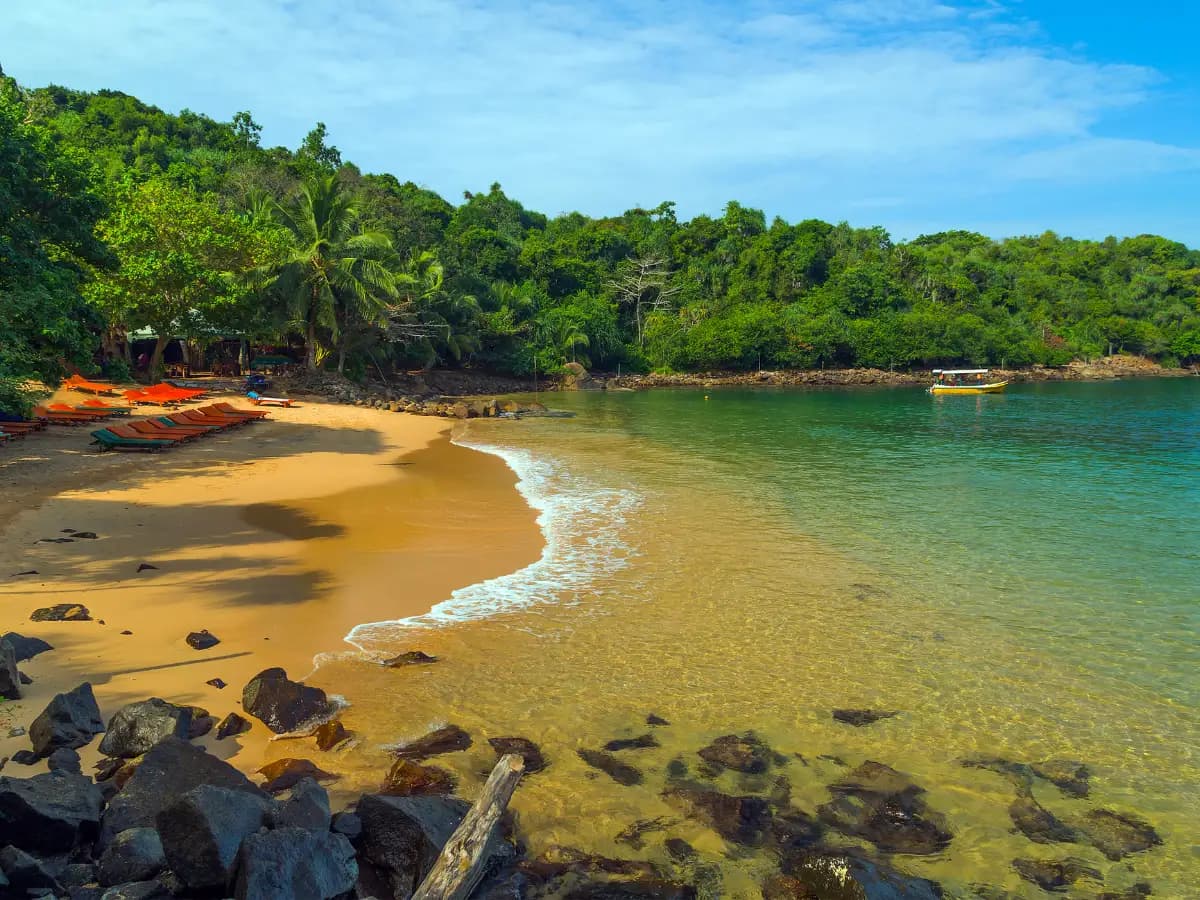 Jungle Beach