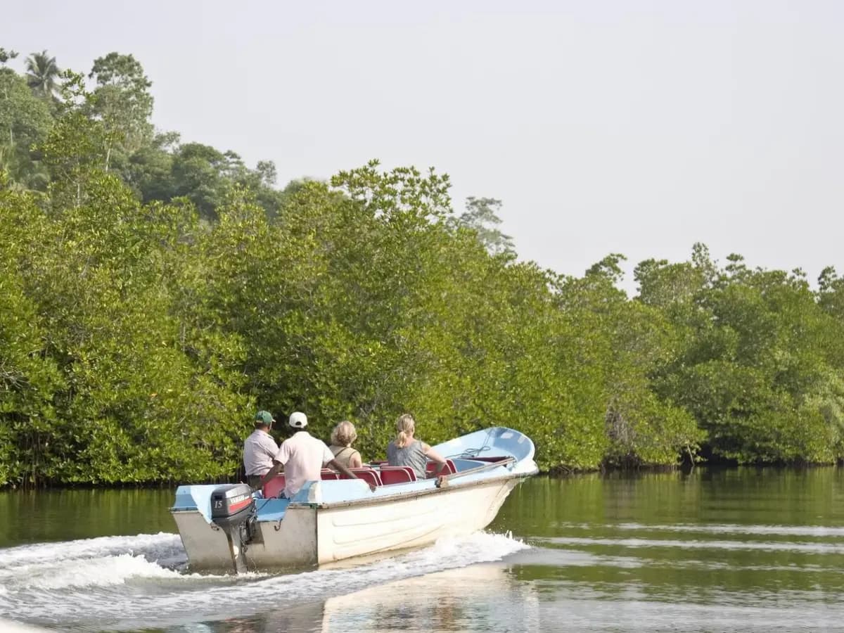 Madu River (Maduganga)