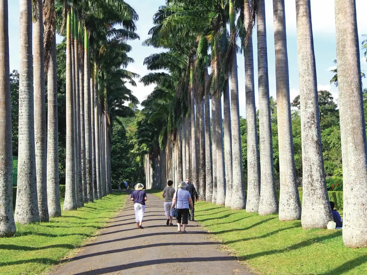 Peradeniya Botanical Gardens