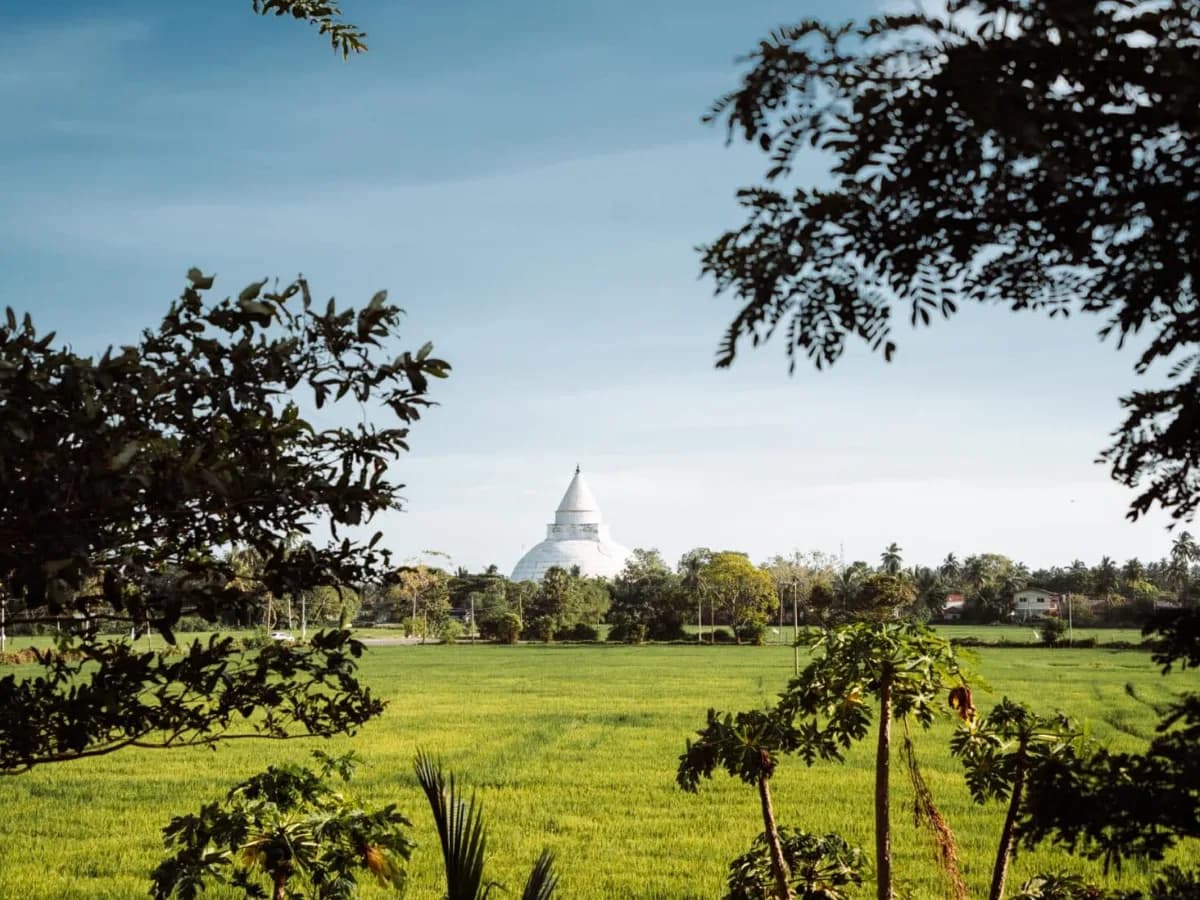 Tissamaharama & Yala