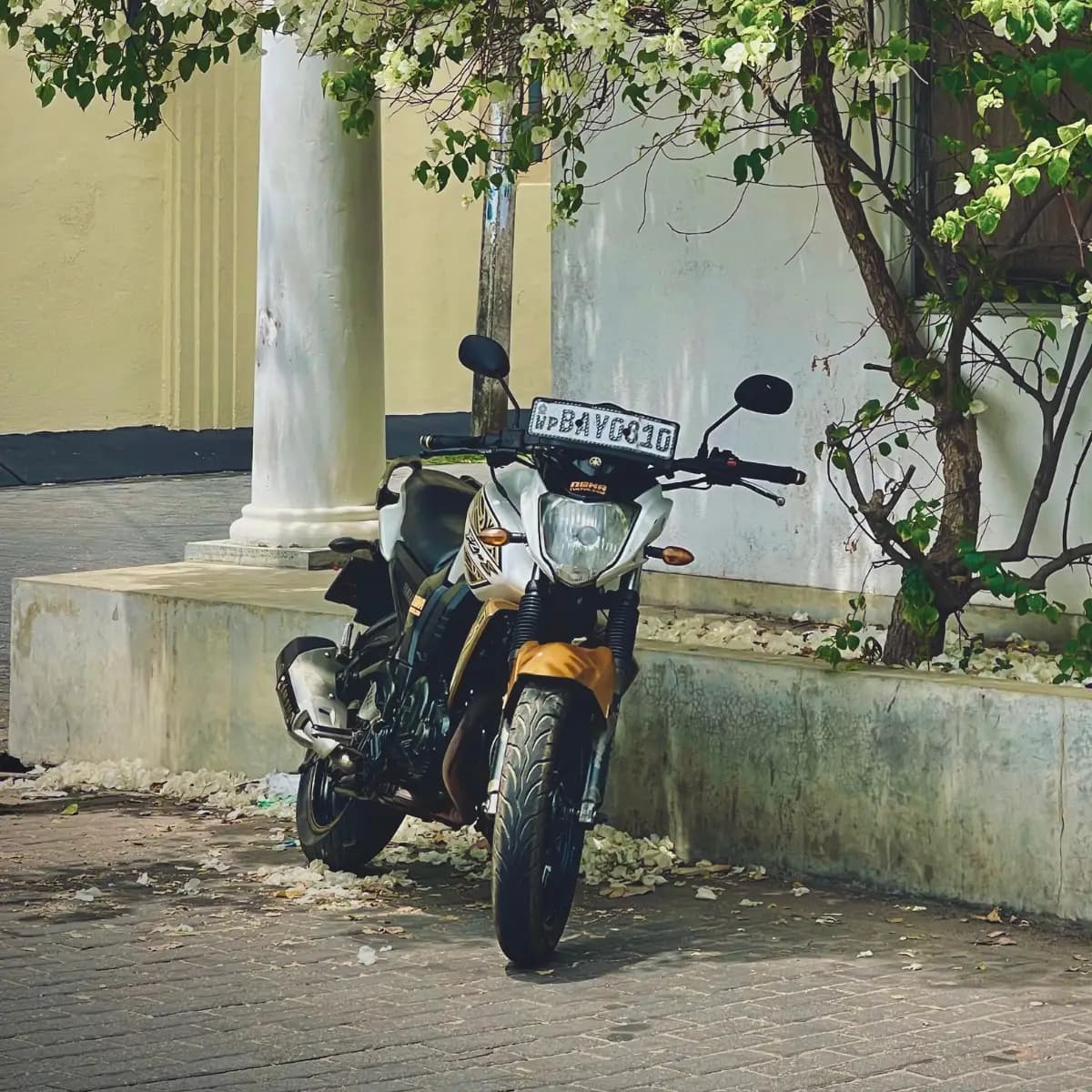 A NOHA 150cc rental motorbike parked on a Sri Lankan street
