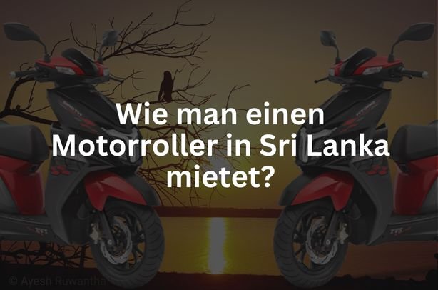 Wie man einen Motorroller in Sri Lanka mietet? 8 Einen Motorroller in Sri Lanka mietet