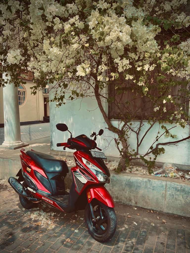 Rent a Scooter in Galle - Best Scooter Rental 5 Rent a Scooter in Galle Sri Lanka