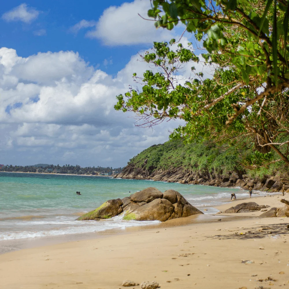 Jungle beach Unawatuna nohatuktuk.com