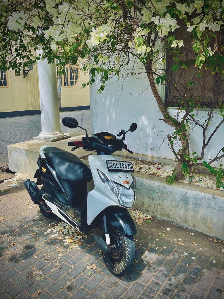 Rent a Scooter in Galle, Sri Lanka | From USD 8/Day 6 Rent a Scooter in Galle Sri Lanka