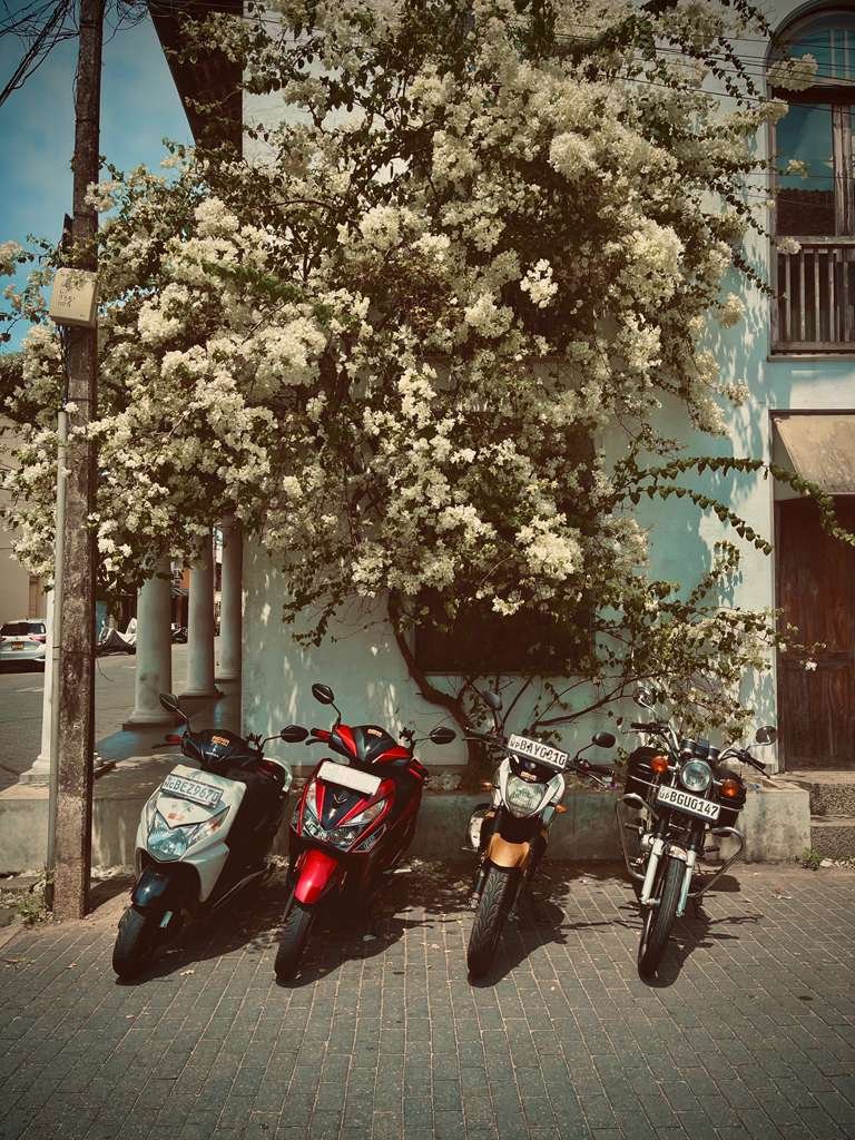 Rent a Motorbike in Galle, Sri Lanka | From USD 10/Day 2 Rent a Motorbike in Galle Sri Lanka