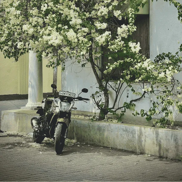 Motorbike rental pickup in Galle, Sri Lanka